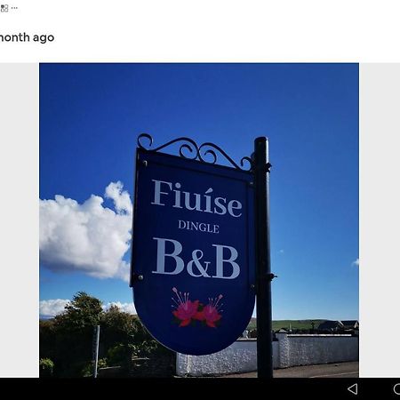 Fiuise B&B Dingle Exterior photo