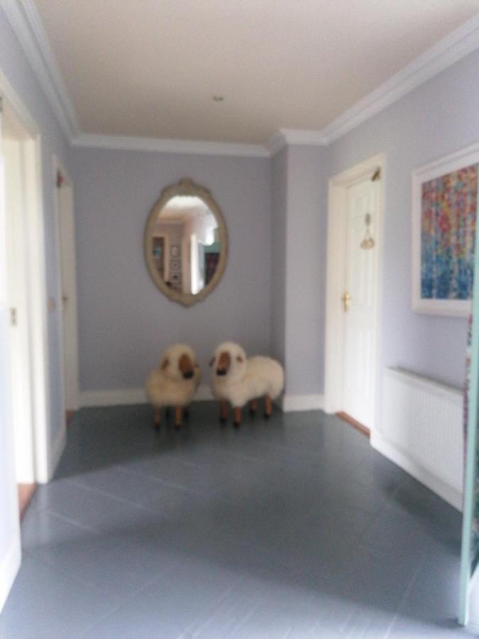 Fiuise B&B Dingle Exterior photo